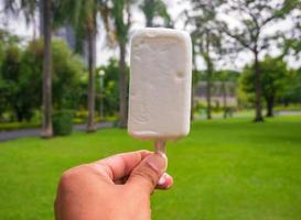 glace dans le jardin photo