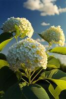 bouquet de blanc fleurs avec vert feuilles. génératif ai. photo