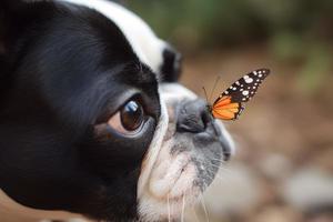 papillon chien nez. produire ai photo