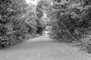 magnifique vide asphalte route dans campagne sur lumière Contexte photo