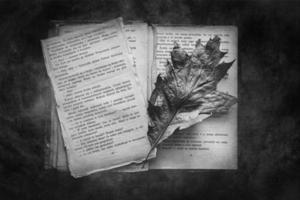 endommagé livre mensonge sur une foncé Contexte avec un l'automne feuille photo