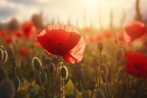 coquelicot fleur prairie. illustration ai génératif photo