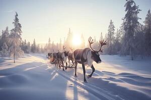 renne tirant traîneau dans neige champ Noël vacances ai généré photo