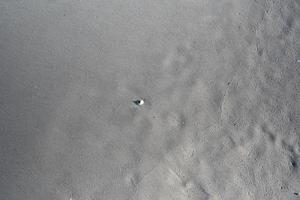 fond naturel avec plage de sable fin photo