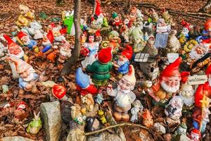 portrait vue à lot de coloré jardin gnomes à une endroit dans le forêt photo