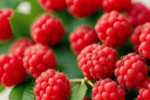 délicieux framboise dans une bol sur une blanc arrière-plan, fermer. en bonne santé nourriture concept. génératif ai photo