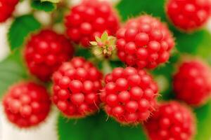 délicieux framboise dans une bol sur une blanc arrière-plan, fermer. en bonne santé nourriture concept. génératif ai photo