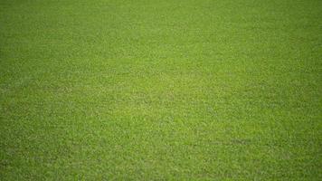 fond naturel d'un terrain de football vert d'herbe. photo