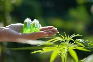 Main tenant une bouteille en verre avec de l'huile de CBD et des feuilles de cannabis à l'arrière-plan