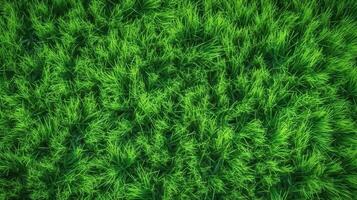 ai génératif. ai généré. concept de photo de vert herbe. Contexte modèle agriculture. pouvez être utilisé pour graphique conception. graphique art