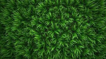 ai génératif. ai généré. concept de photo de vert herbe. Contexte modèle agriculture. pouvez être utilisé pour graphique conception. graphique art