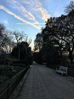 une vue d'un parc à Londres photo