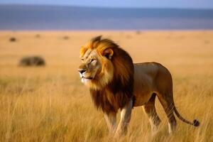 une Masculin Lion dans le savane Roi de animaux établi avec génératif ai technologie. photo