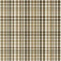 magnifique plaid Contexte conception photo