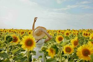 femme avec deux nattes dans une champ avec épanouissement tournesols paysage photo