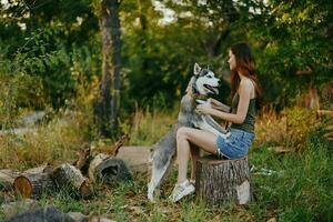 femme et sa rauque chien Heureusement en jouant en plein air dans le parc parmi le des arbres sourire avec les dents dans le l'automne marcher avec sa animal de compagnie photo