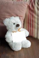 Ours en peluche blanc tenant une carte vierge photo