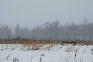 paysage d'hiver enneigé photo