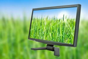 PC moniteur et herbe photo