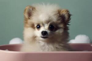 mignonne chien dans le baignoire, établi avec génératif ai photo