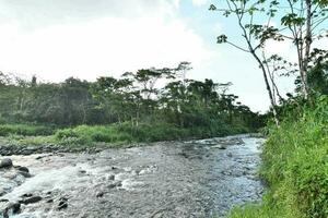 vue panoramique sur la rivière photo