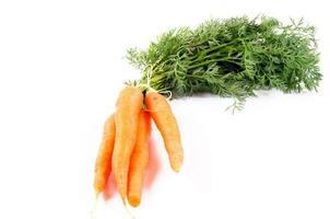 carottes isolé sur blanc photo