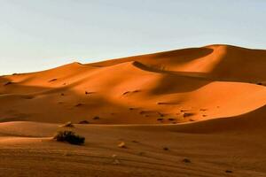 scénique dunes vue photo