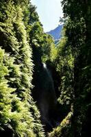 magnifique l'eau éclaboussure cascade photo