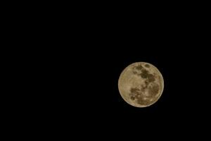 lune la nuit photo