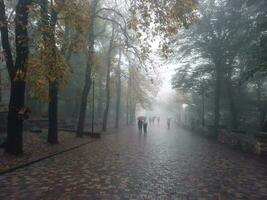 doux se concentrer. les peuples avec un parapluies dans mouvement. brumeux Matin à ville ruelle. touristes en dessous de un parapluie sont en marchant dans une parc, en marchant dans le tomber dans le pluie, un l'automne parapluie. photo