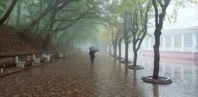 doux se concentrer. brumeux Matin à ville ruelle. homme en dessous de un parapluie une photo