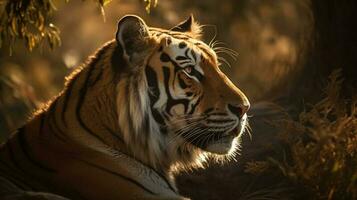 portrait tigre sur le forêt ai produire photo