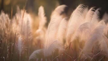 la pampa herbe Extérieur dans lumière pastel couleur, génératif ai photo