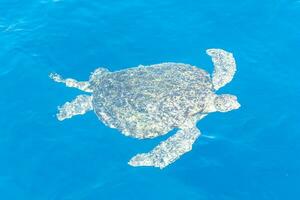 similan et surin île scaphandre autonome plongée voyage photo