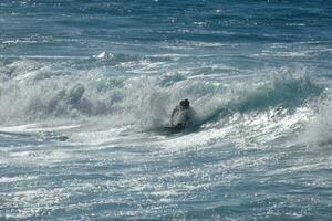 Jeune les athlètes pratiquant le l'eau sport de surfant photo