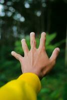 explorateur Masculin main dans une vert pluvieux forêt. photo