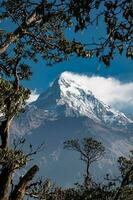 magnifique vue de annapurna Montagne intervalle , Népal photo