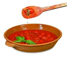 bol de sauce tomate photo