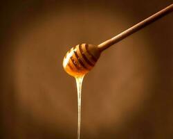 cuillère à miel en bois photo