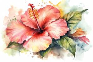 aquarelle hibiscus illustration. ai généré photo