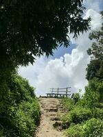 chemin à le Montagne de pointe dans ensoleillé journée avec bleu nuageux ciel photo