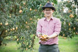 asiatique ferme homme est vérification le sien acide et sucré fruit appelé marian prune ou thaïlandais plango ou marian mangue, de prune mangue dans le sien en plein air fruit jardin photo