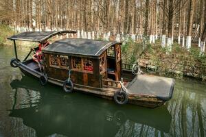 fascinant sites touristiques de l'eau les villes dans du sud Chine photo