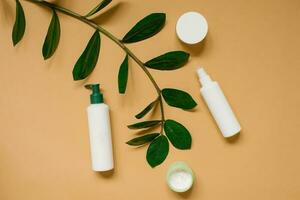 Naturel à base de plantes crèmes dans bouteilles et pots avec vert feuilles sur une beige Contexte. le concept de une Naturel biologique cosmétique produit. plat position, Haut voir. photo