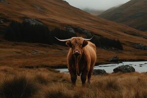 Écossais vache dans le montagnes. ai généré photo