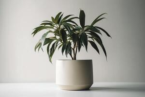 une moderne et minimaliste plante pot sur une blanc Contexte. ai généré photo