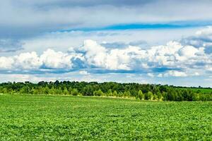 beau paysage d'horizon dans la prairie du village sur fond naturel de couleur photo