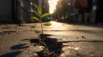 une petit jeune arbre émerge par asphalte. génératif ai photo