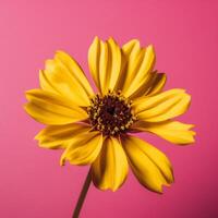 une Jaune fleur avec une Contexte ai généré photo