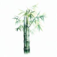 aquarelle style La peinture génératif ai avec haute détail sur une blanc Contexte. l'eau Couleur bambou avec vert feuilles. traditionnel chinois peinture. photo